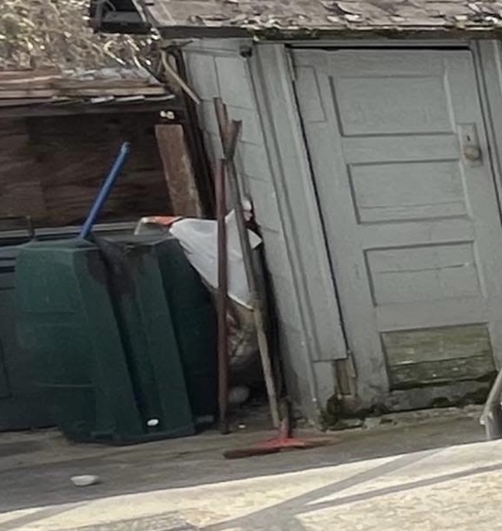 Commercial Landscaping